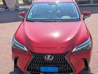 Usata Lexus NX350h Business Edition 190 CV (139 kW) 2024 Rosso SUV