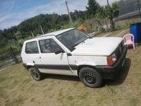 Usata Fiat Panda 4x4 54 CV (39 kW) 1998 Utilitaria