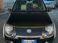 Usata Fiat Panda Cross Cross 74 CV (54 kW) 2007 Verde Utilitaria