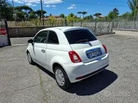 Usata Fiat 500 Pop 69 CV (50 kW) 2018 Bianco Utilitaria