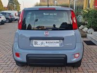 Usata Fiat Panda Easy 69 CV (50 kW) 2022 Grigio Utilitaria