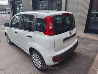 Nuova Fiat Panda Icon 71 CV (52 kW) 2026 Bianco Utilitaria