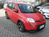 Usata Fiat Panda Sport 69 CV (50 kW) 2021 Rosso Utilitaria
