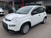 usata Fiat Panda 1.0 FireFly S&S Hybrid - PREZZO PROMO -