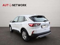 Usata Ford Kuga Titanium 225 CV (165 kW) 2020 Bianco SUV