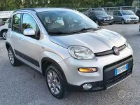 Usata Fiat Panda 4x4 S 75 CV (55 kW) 2015 Grigio Utilitaria