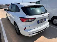 Usata Ford Kuga ST-Line X 190 CV (139 kW) 2024 Bianco SUV