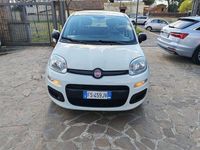 Usata Fiat Panda Easy 69 CV (50 kW) 2018 Utilitaria