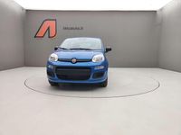 Nuova Fiat Panda 69 CV (50 kW) 2025 Grigio Utilitaria
