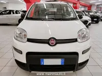 Usata Fiat Panda City Life 69 CV (50 kW) 2022 Bianco Utilitaria