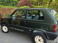 Usata Fiat Panda 1989 Verde SUV