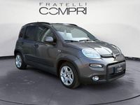 Usata Fiat Panda S 69 CV (50 kW) 2023 Grigio maestro Utilitaria