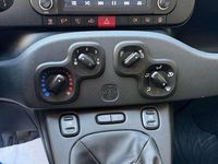 Usata Fiat Panda Easy 69 CV (50 kW) 2020 Grigio Utilitaria