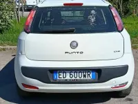 Usata Fiat Punto Evo Active 75 CV (55 kW) 2010 Bianco Utilitaria