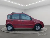 Usata Fiat Panda Emotion 60 CV (44 kW) 2006 Giallo Utilitaria