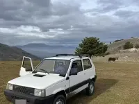 Usata Fiat Panda 4x4 50 CV (36 kW) 1996 Bianco Utilitaria