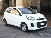 Usata Kia Picanto City 67 CV (49 kW) 2016 Bianco Utilitaria