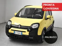 Usata Fiat Panda Cross Cross 70 CV (51 kW) 2025 Giallo Utilitaria