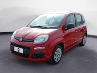 Usata Fiat Panda Pop 69 CV (50 kW) 2011 Rosso Utilitaria
