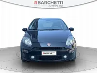 Usata Fiat Punto Lounge 77 CV (56 kW) 2016 Nero Utilitaria