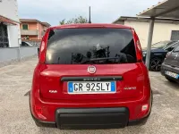 Usata Fiat Panda Cross Cross 69 CV (50 kW) 2023 Rosso Utilitaria