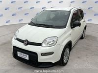 Usata Fiat Panda S 70 CV (51 kW) 2023 Bianco Utilitaria