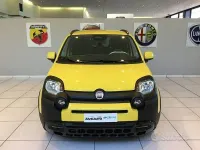 Nuova Fiat Panda Cross 65 CV (47 kW) 2026 Giallo Utilitaria