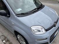 Usata Fiat Panda Pop 69 CV (50 kW) 2019 Grigio Utilitaria
