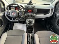 usata Fiat Panda 4x4 3ª serie 0.9 TwinAir Turbo S&S