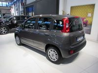 usata Fiat Panda 1.0 FireFly S&S Hybrid