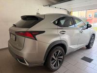 Usata Lexus NX300h 155 CV (114 kW) 2021 Grigio SUV