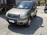 Usata Fiat Panda 4x4 Climbing 75 CV (55 kW) 2011 Grigio Utilitaria