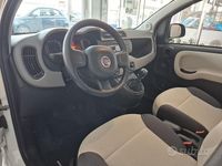Usata Fiat Panda 69 CV (50 kW) 2014 Bianco Utilitaria
