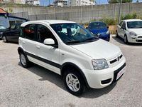 Usata Fiat Panda 4x4 75 CV (55 kW) 2012 Bianco Utilitaria