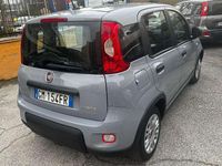 Usata Fiat Panda S 69 CV (50 kW) 2023 Grigio Utilitaria