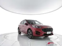 Usata Ford Kuga ST-Line X 190 CV (139 kW) 2020 Rosso SUV