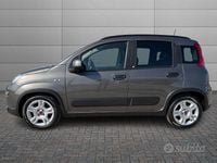 Usata Fiat Panda S 70 CV (51 kW) 2023 Grigio Utilitaria