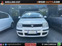Usata Fiat Panda Dynamic 69 CV (50 kW) 2011 Bianco Utilitaria