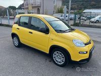 Usata Fiat Panda S 69 CV (50 kW) 2024 Giallo Utilitaria