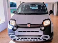 Usata Fiat Panda Cross Cross 69 CV (50 kW) 2021 Utilitaria