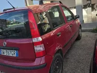 Usata Fiat Panda Dynamic 60 CV (44 kW) 2009 Rosso Utilitaria