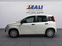 Nuova Fiat Panda Pop 65 CV (47 kW) 2026 Bianco Utilitaria
