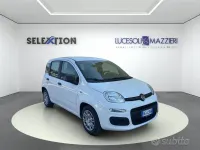 Nuova Fiat Panda Icon 65 CV (47 kW) 2026 Bianco Utilitaria