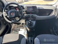 Usata Fiat Panda 70 CV (51 kW) 2021 Grigio Utilitaria