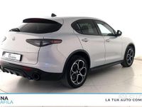 Usata Alfa Romeo Stelvio Veloce 209 CV (153 kW) 2024 Grigio chiaro SUV