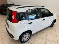 Usata Fiat Panda Easy 75 CV (55 kW) 2015 Bianco Utilitaria