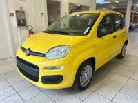 Nuova Fiat Panda Icon 69 CV (50 kW) 2026 Giallo Utilitaria