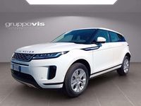 Usata Land Rover Range Rover evoque SE 309 CV (227 kW) 2021 Bianco SUV