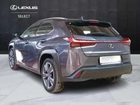 Usata Lexus UX 300e Luxury Line 56 kW (77 CV) 2024 Grigio SUV