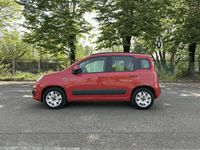 usata Fiat Panda 1.2 69cv e6 lounge